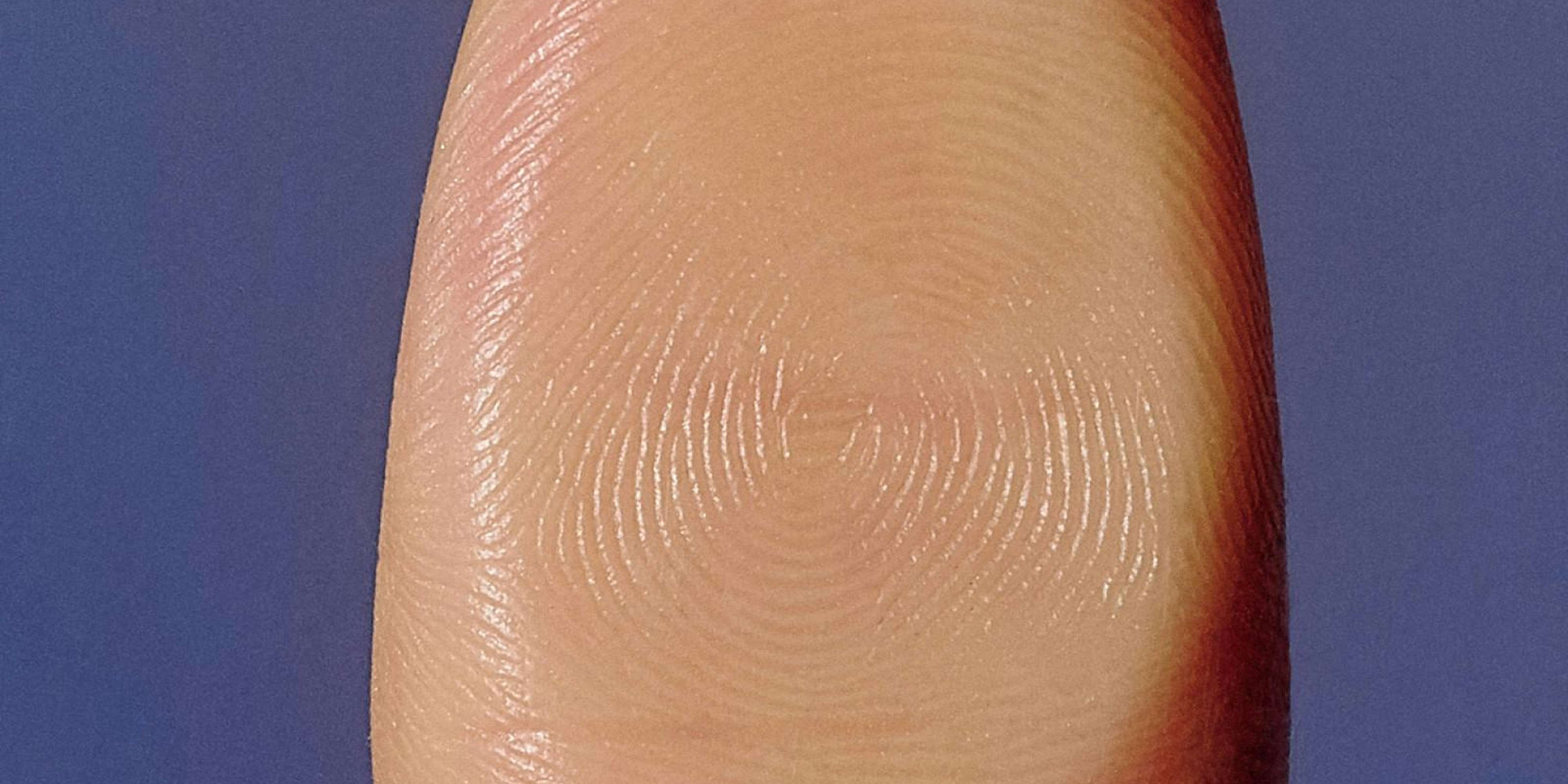 Cybersecurity becomes a survival investment